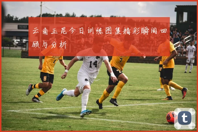 云南玉昆今日训练图集精彩瞬间回顾与分析