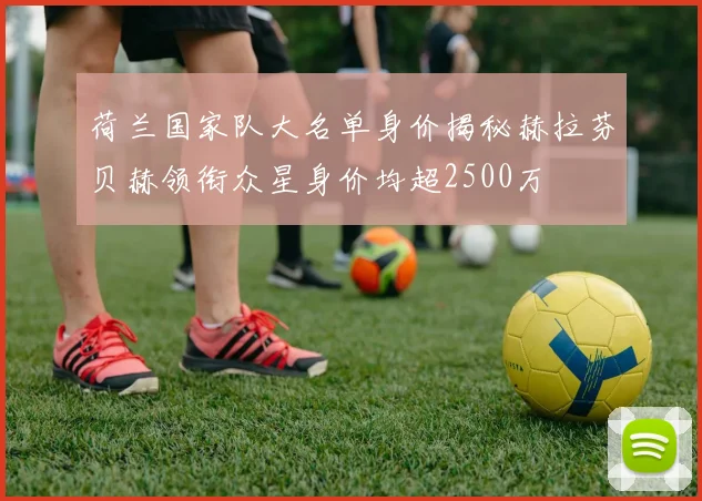荷兰国家队大名单身价揭秘赫拉芬贝赫领衔众星身价均超2500万